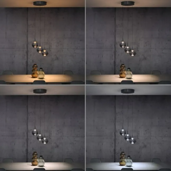 Paul Neuhaus Pendelleuchte PURE E-Infinity mystic grey mit e-Lift Funktion