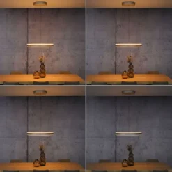 Paul Neuhaus PURE E-Loop, LED Pendelleuchte, bronce