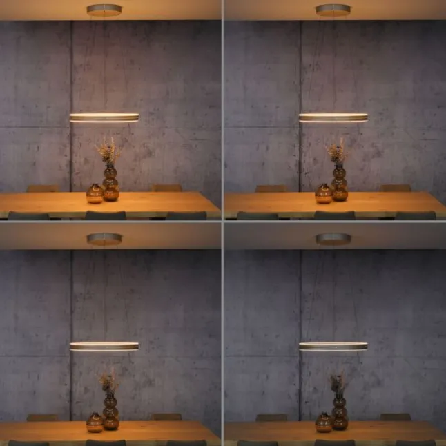 Paul Neuhaus PURE E-Loop, LED Pendelleuchte, bronce
