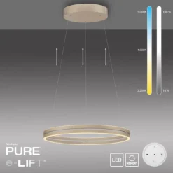 Paul Neuhaus PURE E-Loop, LED Pendelleuchte, bronce