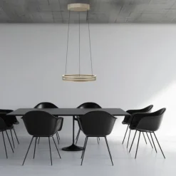 Paul Neuhaus PURE E-Loop, LED Pendelleuchte bronce