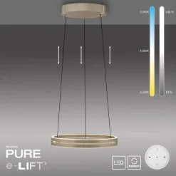 Paul Neuhaus PURE E-Loop, LED Pendelleuchte bronce