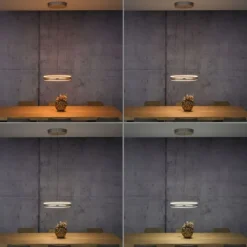 Paul Neuhaus PURE E-Loop, LED Pendelleuchte bronce