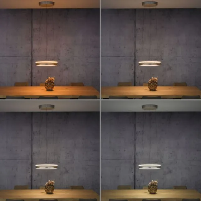 Paul Neuhaus PURE E-Loop, LED Pendelleuchte bronce