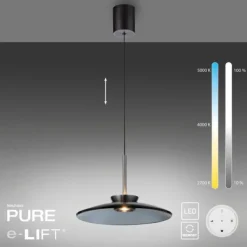 Paul Neuhaus PURE E-Moon Pendelleuchte platin (grau) elektrisch Fernbedienung