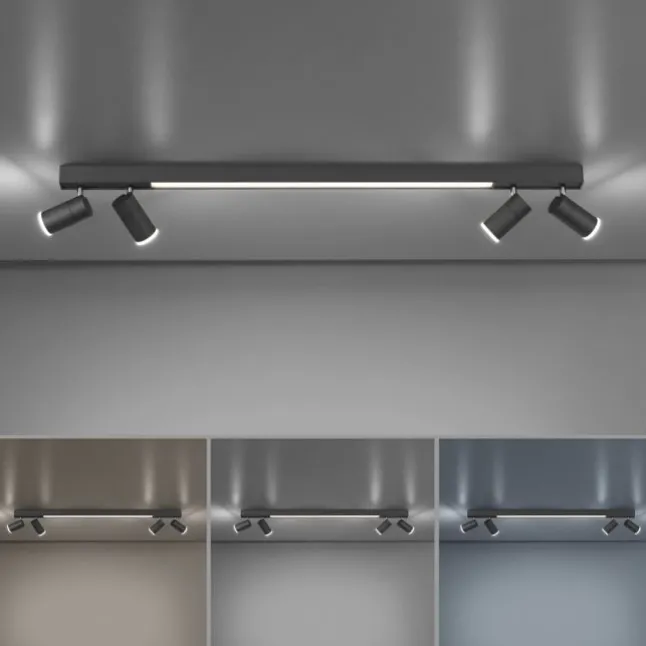 Paul Neuhaus PURE Lines Spot LED Strahler graphite dimmbar drehbar CCT