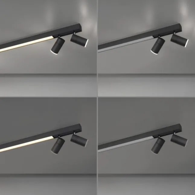 Paul Neuhaus PURE Lines Spot LED Strahler graphite dimmbar drehbar CCT
