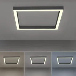 Paul Neuhaus PURE Lines Square LED Deckenleuchte graphite 55x55cm CCT dimmbar