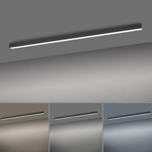 Paul Neuhaus PURE Lines Straight LED Deckenleuchte graphite lineares Design dimmbar