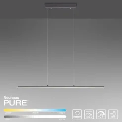 Paul Neuhaus PURE Lite LED Pendelleuchte graphite 100x6x120cm CCT dimmbar