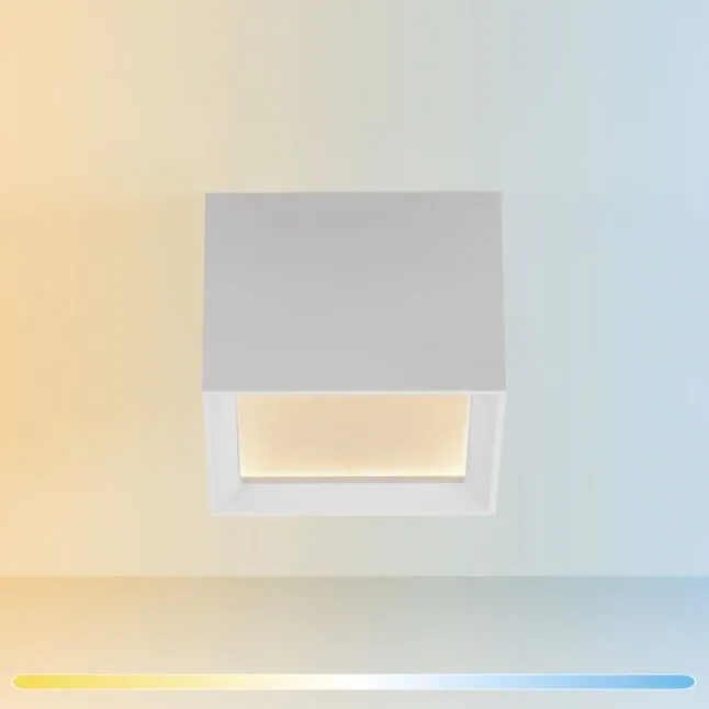 Paul Neuhaus PURE Manhattan,LED Deckenleuchte snow,