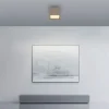 Paul Neuhaus PURE Manhattan, LED Deckenleuchte bronce
