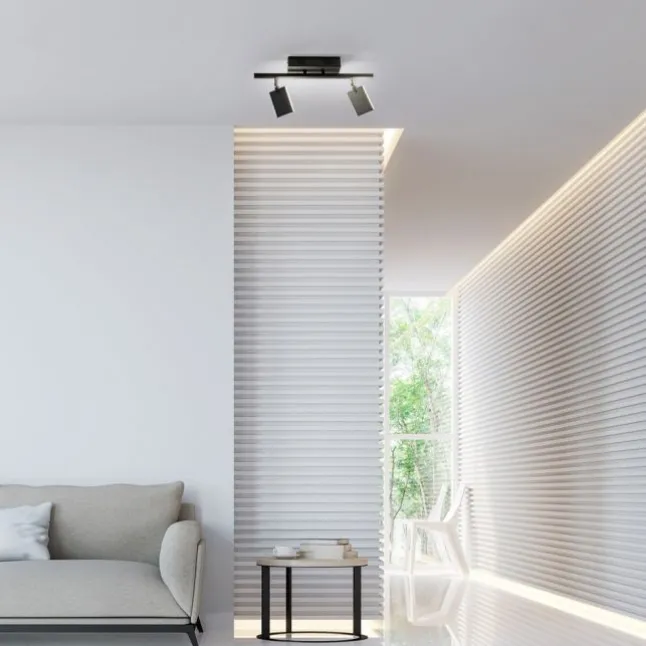 Paul Neuhaus PURE Mira LED Deckenleuchte black-pearl 2 flammig dimmbar CCT Memory