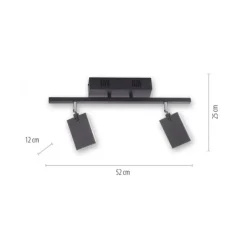 Paul Neuhaus PURE Mira LED Deckenleuchte black-pearl 2 flammig dimmbar CCT Memory
