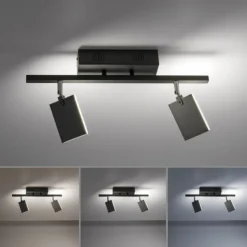 Paul Neuhaus PURE Mira LED Deckenleuchte black-pearl 2 flammig dimmbar CCT Memory