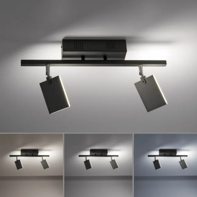 Paul Neuhaus PURE Mira LED Deckenleuchte black-pearl 2 flammig dimmbar CCT Memory