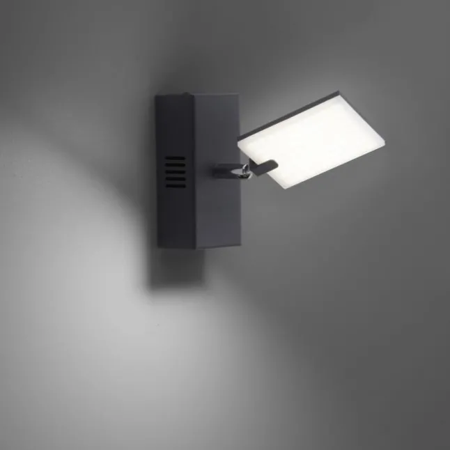 Paul Neuhaus PURE Mira LED Wandleuchte black pearl 1 flammig drehbar dimmbar