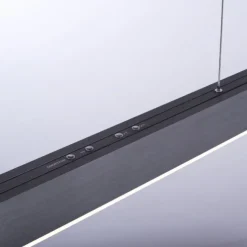 Paul Neuhaus PURE Moto e-SLIDE® platin (grau) elektrisch ausfahrbar Pendelleuchte