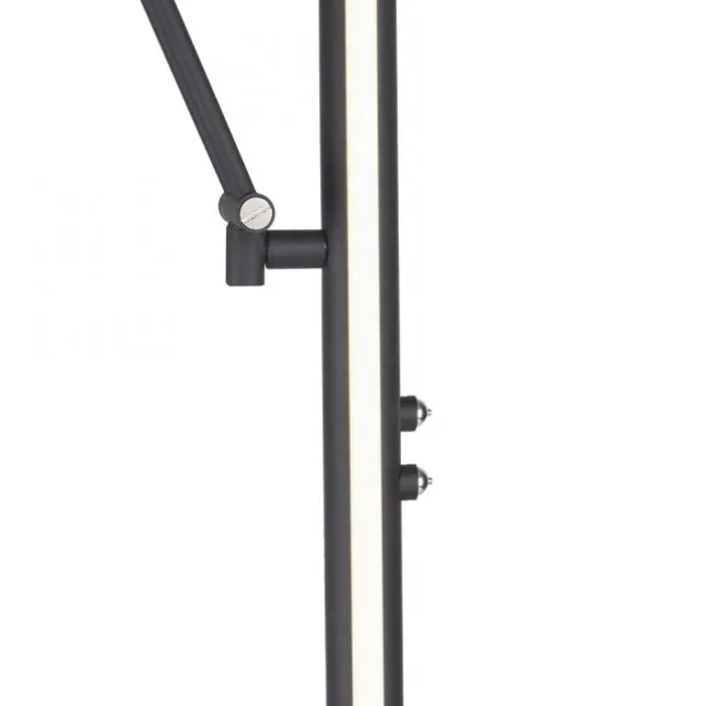 Paul Neuhaus PURE Mutil LED Deckenfluter graphite Leselicht dimmbar