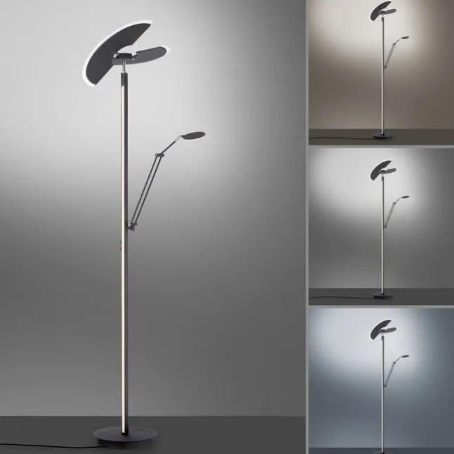 Paul Neuhaus PURE Mutil LED Deckenfluter graphite Leselicht dimmbar