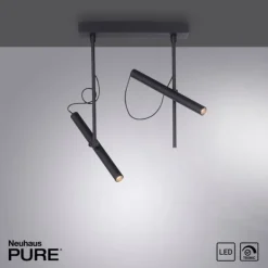 Paul Neuhaus PURE Tutua LED Deckenleuchte 2 flammig schwarz drehbar