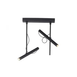 Paul Neuhaus PURE Tutua LED Deckenleuchte 2 flammig schwarz drehbar