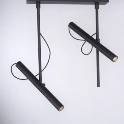 Paul Neuhaus PURE Tutua LED Deckenleuchte 2 flammig schwarz drehbar