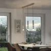 Paul Neuhaus PURE Vega LED Pendelleuchte aluminium 1 flammig mit Lichtmodi