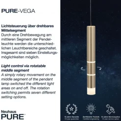 Paul Neuhaus PURE Vega LED Pendelleuchte messing matt 1 flammig Lichtmodi
