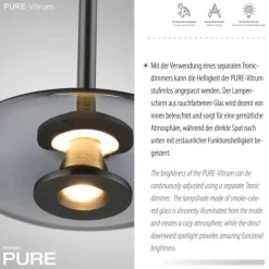 Paul Neuhaus PURE Vitrum Pendelleuchte platin (grau) dimmbar höhenverstellbar