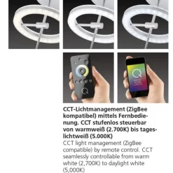 Paul Neuhaus, Q-AMY, LED-Deckenleuchte, dimmbar, CCT, Smart Home (Auslauf)