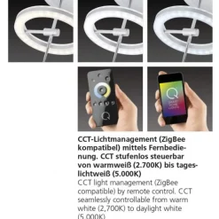 Paul Neuhaus,Q-AMY, LED-Tischleuchte, CCT, dimmbar, Smart-Home(Auslauf)