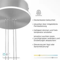 Paul Neuhaus, Q-ETIENNE, LED Pendelleuchte stahl, Smart Home