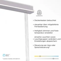 Paul Neuhaus, Q-ETIENNE, LED Pendelleuchte stahl, Smart Home