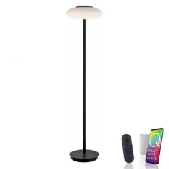 Paul Neuhaus Q ETIENNE LED Stehleuchte Smart Home schwarz dimmbar CCT