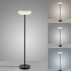 Paul Neuhaus Q ETIENNE LED Stehleuchte Smart Home schwarz dimmbar CCT