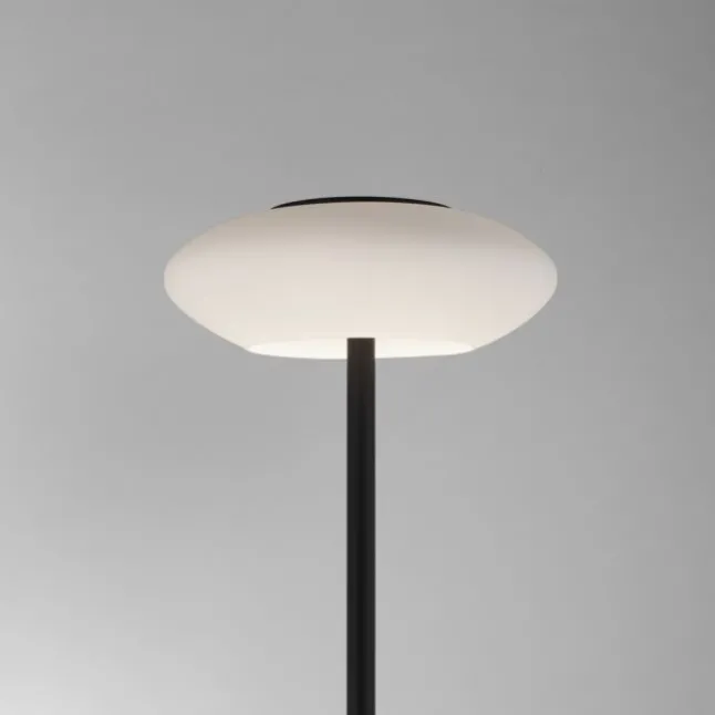 Paul Neuhaus Q ETIENNE LED Stehleuchte Smart Home schwarz dimmbar CCT