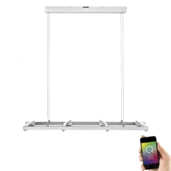 Paul Neuhaus, Q-FISHEYE, LED-Pendelleuchte, silber, dimmbar, Smart Home