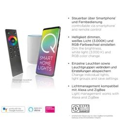 Paul Neuhaus, Q-FISHEYE, LED-Wandleuchte, dimmbar, Linse, Smart Home