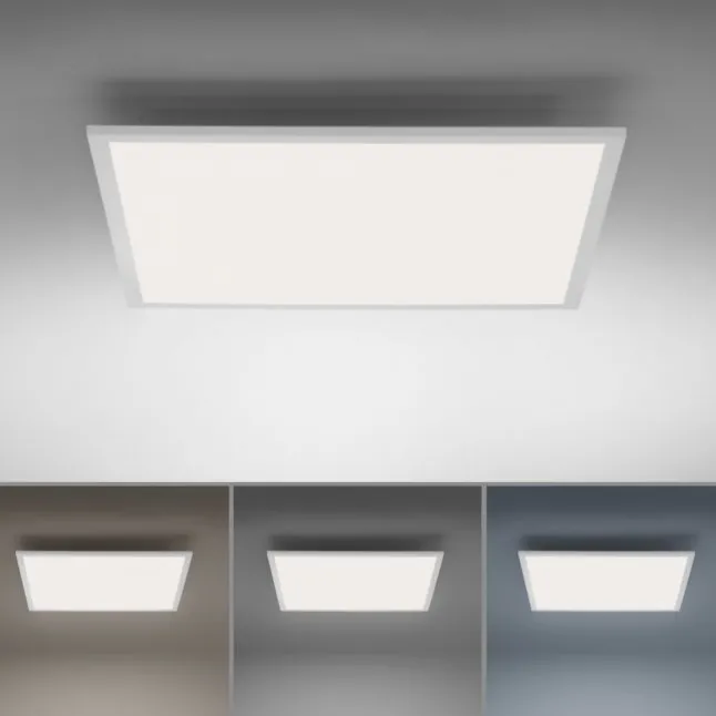 Paul Neuhaus, Q-FLAG, LED-Panel, 62x62cm, CCT, flach, dimmbar, Smart Home