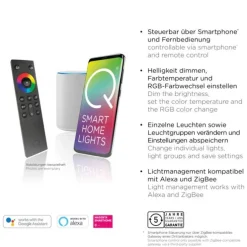 Paul Neuhaus, Q-MIA, LED-Wandleuchte, anthrazit, drehbar, modern, Smart Home
