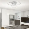 Paul Neuhaus, Q-NEVIO, LED-Deckenleuchte, 3-flg, silber, CCT, Smart Home
