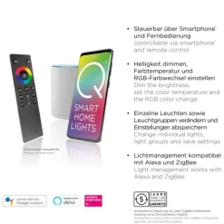 Paul Neuhaus, Q-Peter, LED Stehleuchte anthrazit, Smart Home