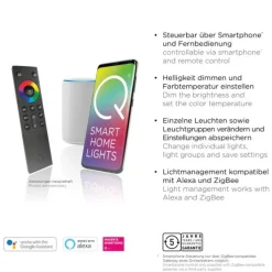 Paul Neuhaus, Q-ROSA, LED-Deckenleuchte, CCT, stahlfarben, Smart Home