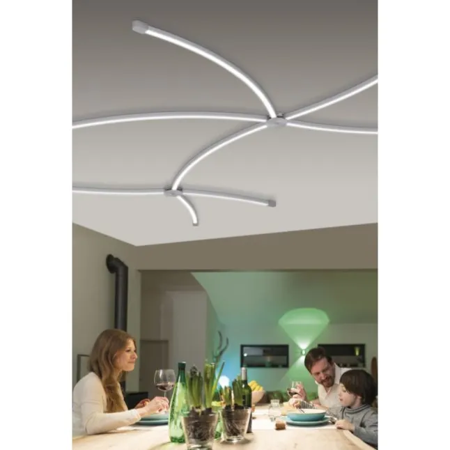 Paul Neuhaus, Q-SPIDER gebogenes Lichtprofil, Smart Home, dimmbar