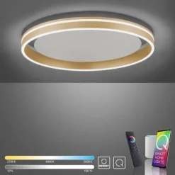 Paul Neuhaus, Q-VITO, LED Deckenleuchte, Ø59cm, Smart Home