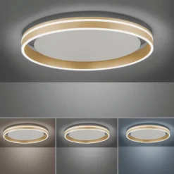Paul Neuhaus, Q-VITO, LED Deckenleuchte, Ø59cm, Smart Home