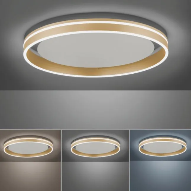 Paul Neuhaus, Q-VITO, LED Deckenleuchte, Ø59cm, Smart Home