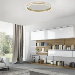 Paul Neuhaus, Q-VITO, LED Deckenleuchte, Ø59cm, Smart Home