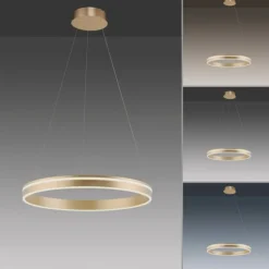 Paul Neuhaus, Q-VITO, LED Pendelleuchte, Ø59cm, Smart Home